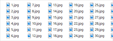 circleguide_filename1.jpg